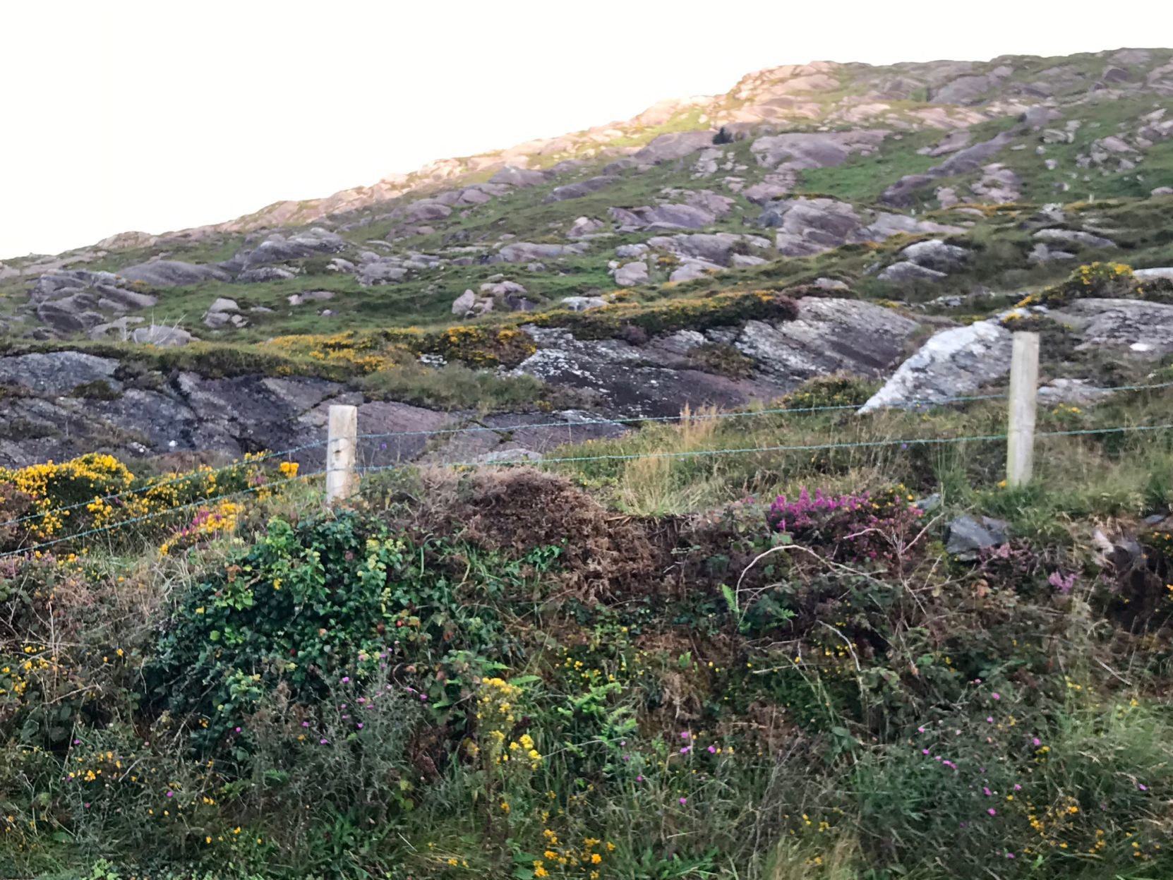 Some of the rocky scenery in Ireland
